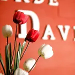 ゲストハウス Conde David サラマンカ