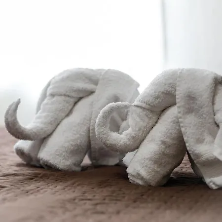 Conde David Gasthuis 2*