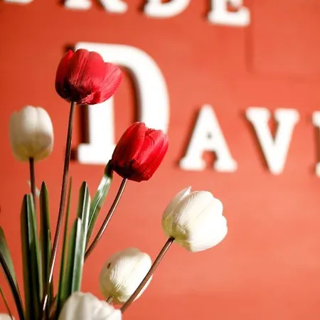 Pensjonat Conde David Salamanka