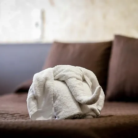 Gasthuis Conde David 2*