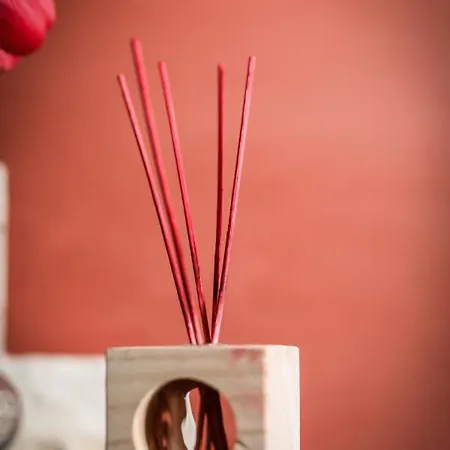 Gasthuis Conde David 2*