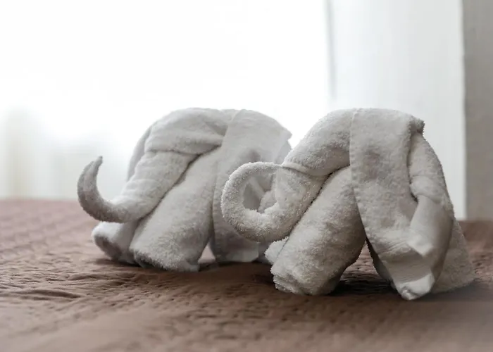 Conde David Pensjonat 2*