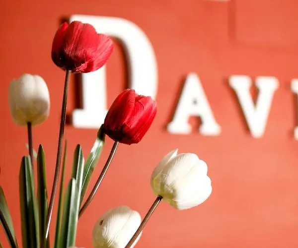 ゲストハウス Conde David サラマンカ