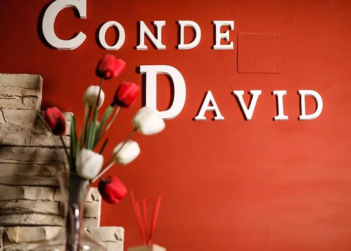 Conde David 2* Salamanka